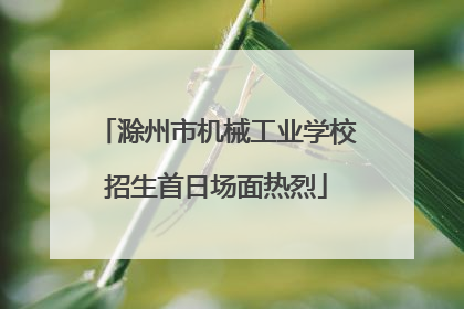 滁州市机械工业学校招生首日场面热烈