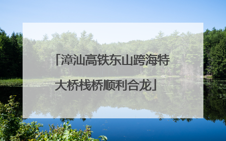 漳汕高铁东山跨海特大桥栈桥顺利合龙