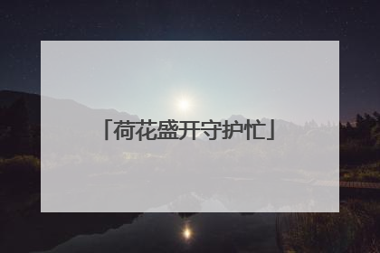 荷花盛开守护忙