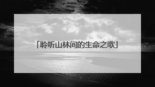 聆听山林间的生命之歌