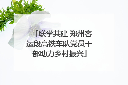 联学共建 郑州客运段高铁车队党员干部助力乡村振兴
