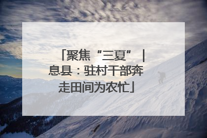 聚焦“三夏”｜息县：驻村干部奔走田间为农忙