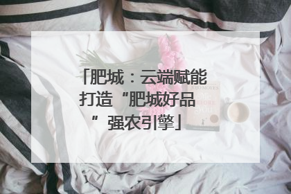 肥城：云端赋能 打造“肥城好品”强农引擎