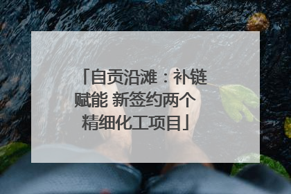自贡沿滩：补链赋能 新签约两个精细化工项目