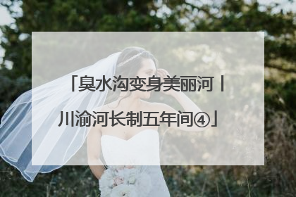 臭水沟变身美丽河丨川渝河长制五年间④