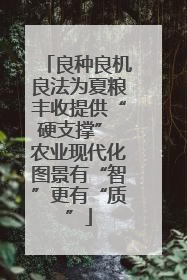 良种良机良法为夏粮丰收提供“硬支撑” 农业现代化图景有“智”更有“质”