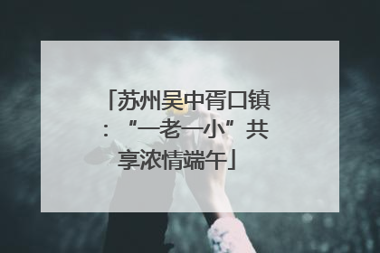 苏州吴中胥口镇：“一老一小”共享浓情端午