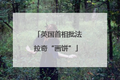 英国首相批法拉奇“画饼”