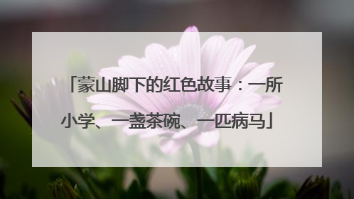 蒙山脚下的红色故事：一所小学、一盏茶碗、一匹病马