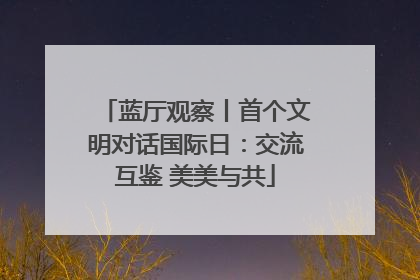 蓝厅观察丨首个文明对话国际日：交流互鉴 美美与共