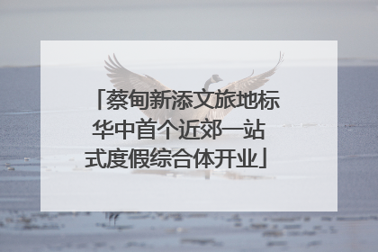 蔡甸新添文旅地标 华中首个近郊一站式度假综合体开业