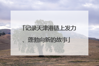 记录天津港链上发力、蓬勃向新的故事