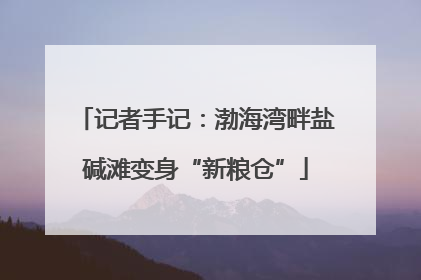 记者手记：渤海湾畔盐碱滩变身“新粮仓”