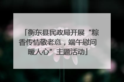 衡东县民政局开展“粽香传情敬老意，端午慰问暖人心”主题活动