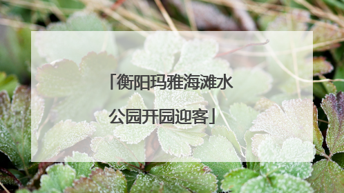 衡阳玛雅海滩水公园开园迎客