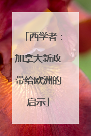 西学者：加拿大新政带给欧洲的启示