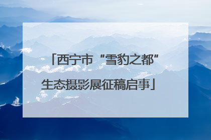 西宁市“雪豹之都”生态摄影展征稿启事
