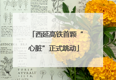 西延高铁首颗“心脏”正式跳动