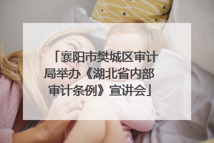 襄阳市樊城区审计局举办《湖北省内部审计条例》宣讲会