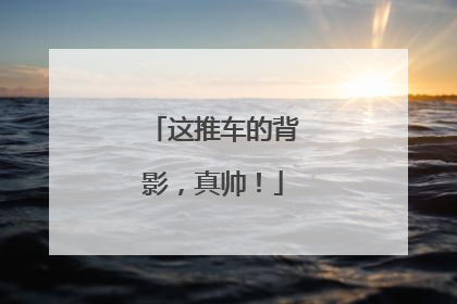 这推车的背影，真帅！