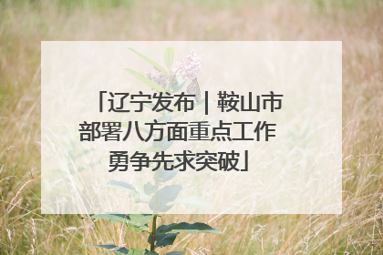 辽宁发布｜鞍山市部署八方面重点工作勇争先求突破
