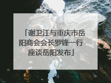 谢卫江与重庆市岳阳商会会长罗锋一行座谈岳阳发布