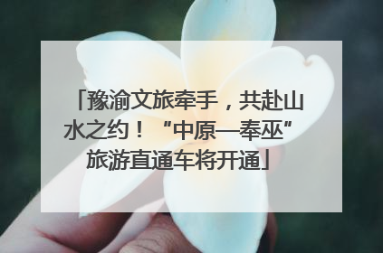 豫渝文旅牵手，共赴山水之约！“中原—奉巫”旅游直通车将开通