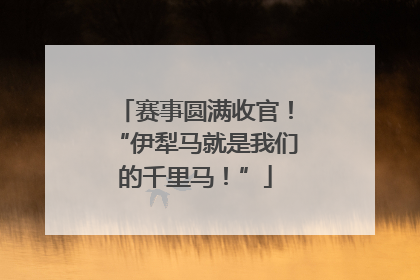 赛事圆满收官！“伊犁马就是我们的千里马！”