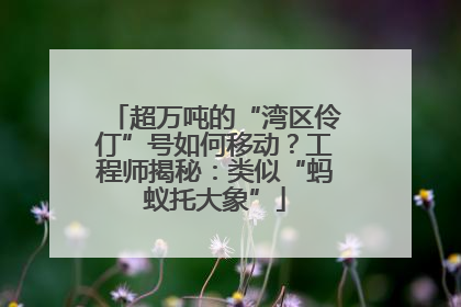 超万吨的“湾区伶仃”号如何移动？工程师揭秘：类似“蚂蚁托大象”