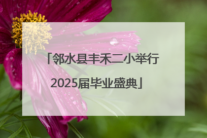 邻水县丰禾二小举行2025届毕业盛典
