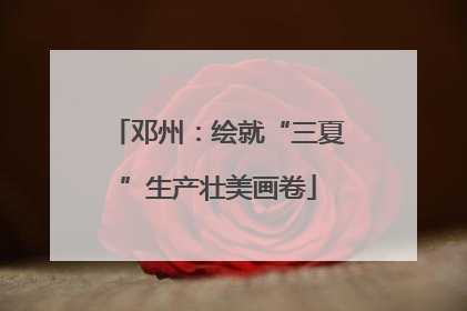 邓州：绘就“三夏”生产壮美画卷