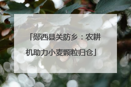 郧西县关防乡：农耕机助力小麦颗粒归仓