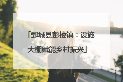 鄄城县彭楼镇：设施大棚赋能乡村振兴