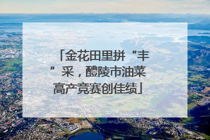 金花田里拼“丰”采，醴陵市油菜高产竞赛创佳绩