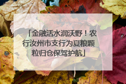 金融活水润沃野！农行汝州市支行为夏粮颗粒归仓保驾护航