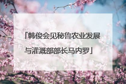 韩俊会见秘鲁农业发展与灌溉部部长马内罗