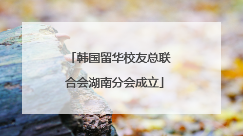 韩国留华校友总联合会湖南分会成立