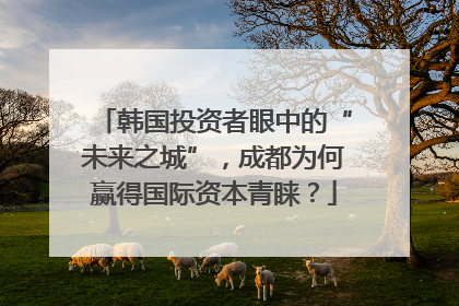 韩国投资者眼中的“未来之城”，成都为何赢得国际资本青睐？