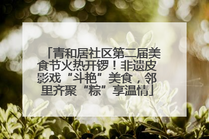 青和居社区第二届美食节火热开锣！非遗皮影戏“斗艳”美食，邻里齐聚“粽”享温情