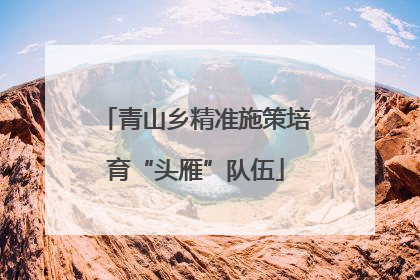 青山乡精准施策培育“头雁”队伍