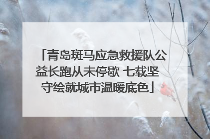 青岛斑马应急救援队公益长跑从未停歇 七载坚守绘就城市温暖底色
