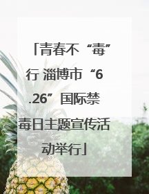 青春不“毒”行 淄博市“6.26”国际禁毒日主题宣传活动举行