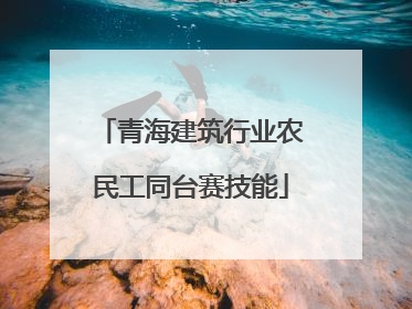 青海建筑行业农民工同台赛技能