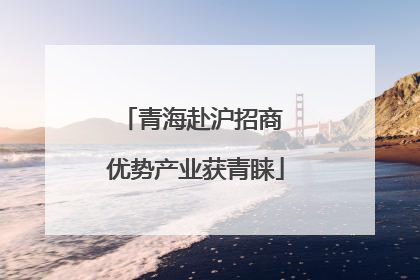 青海赴沪招商 优势产业获青睐