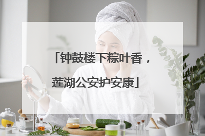 钟鼓楼下粽叶香，莲湖公安护安康