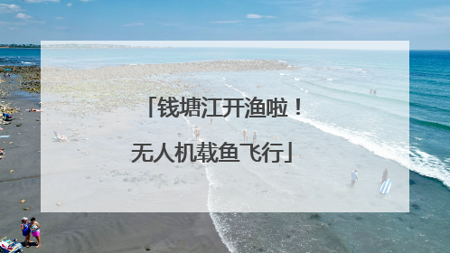 钱塘江开渔啦！无人机载鱼飞行