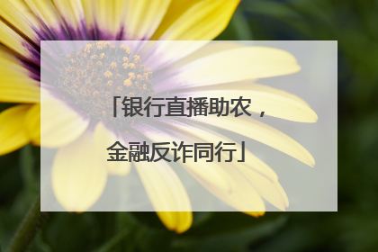 银行直播助农，金融反诈同行