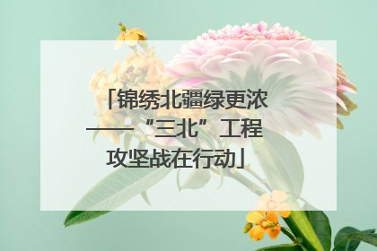 锦绣北疆绿更浓——“三北”工程攻坚战在行动
