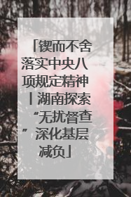 锲而不舍落实中央八项规定精神丨湖南探索“无扰督查”深化基层减负