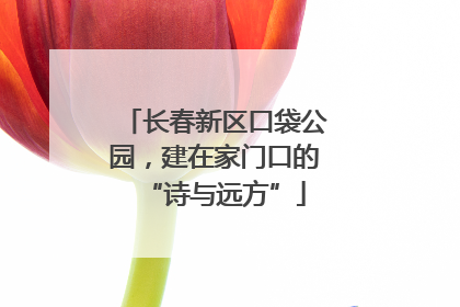 长春新区口袋公园，建在家门口的“诗与远方”